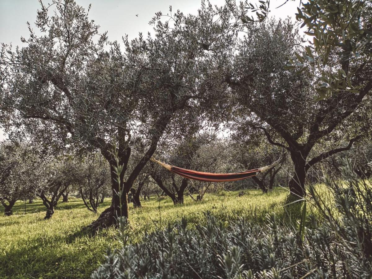 Agriturismo Bosco Magico Verona Exterior photo